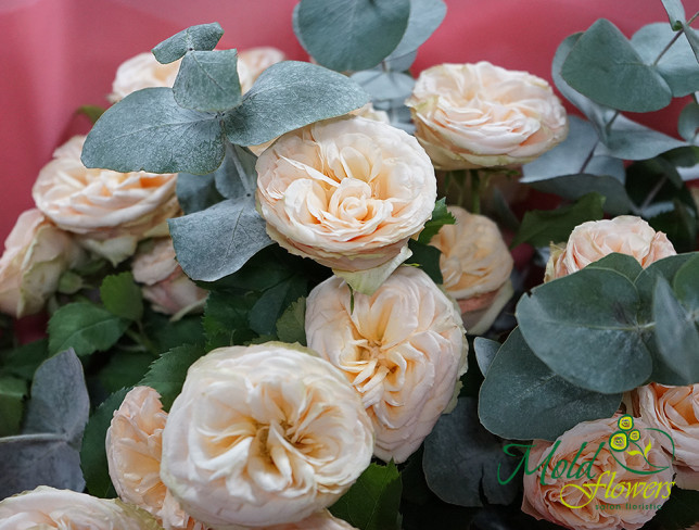 Букет из кремовых кустовых роз с евкалиптом Фото